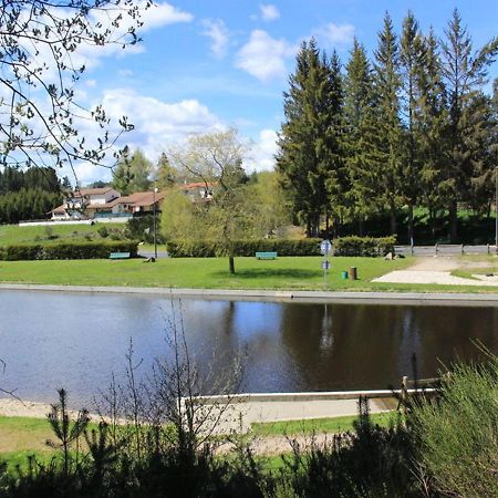 Gite Avec Cheminee, Terrasse Et Wifi - Animaux Acceptes - Fr-1-496-163 Usson-en-Forez Zewnętrze zdjęcie