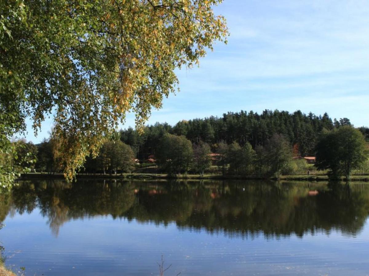 Gite Avec Cheminee, Terrasse Et Wifi - Animaux Acceptes - Fr-1-496-163 Usson-en-Forez Zewnętrze zdjęcie